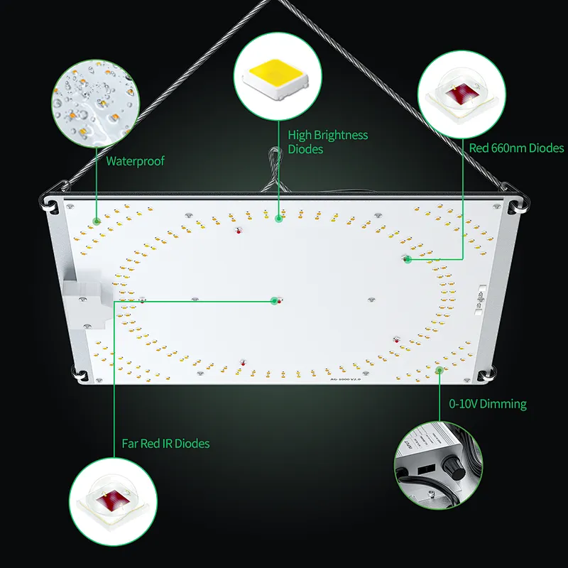 wholesale led grow panel light Aurora