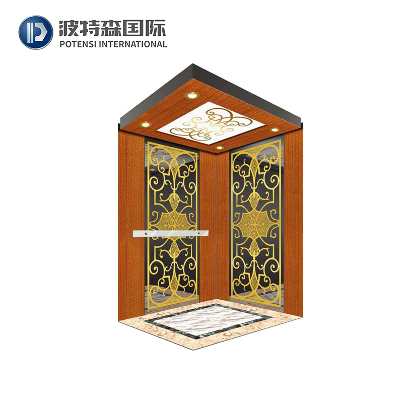 High Quality Potensi Fuji Villa Elevator FJS3000