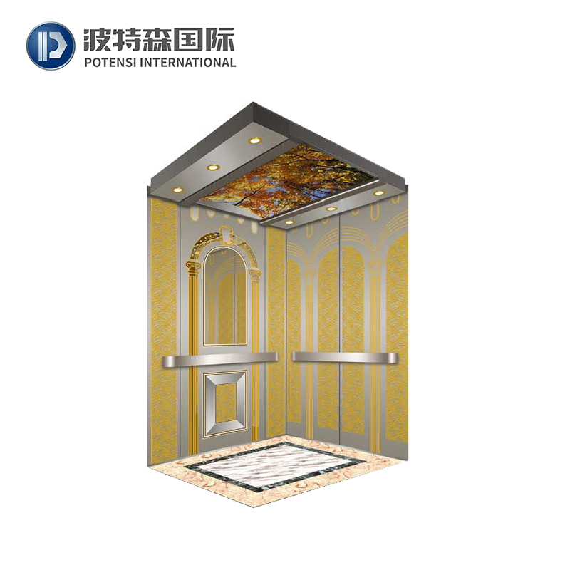 High Quality Potensi Fuji Villa Elevator FJS3000