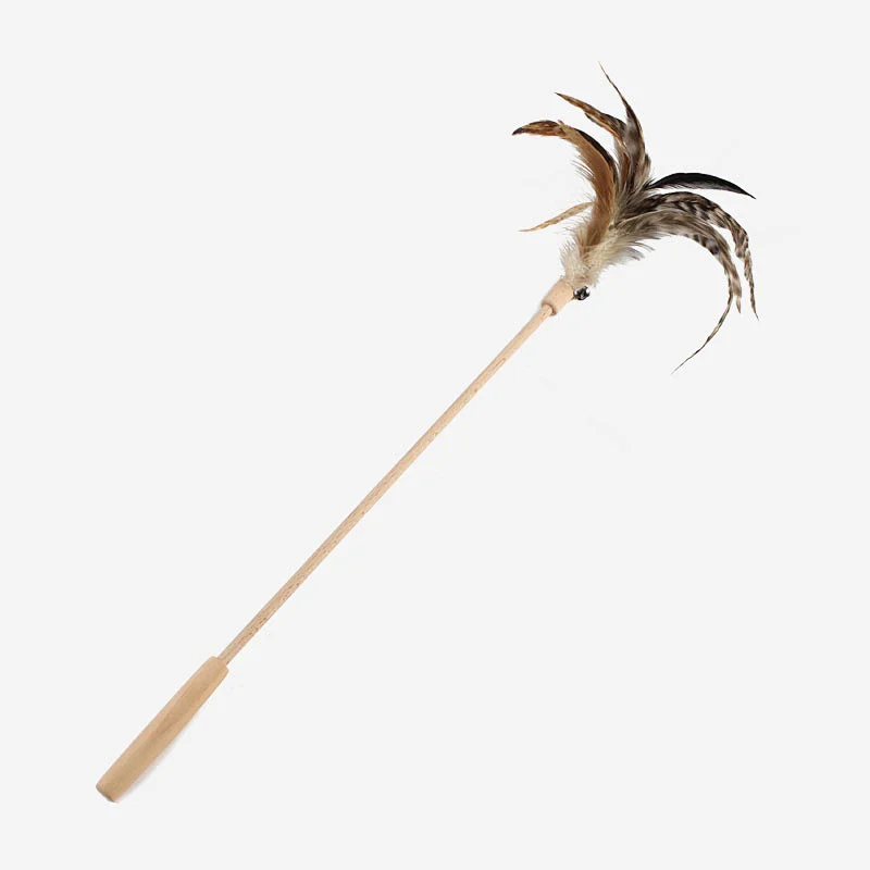 Lu catch cat wand