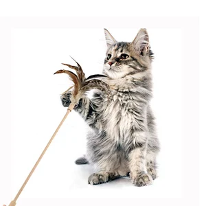 Lu catch cat wand