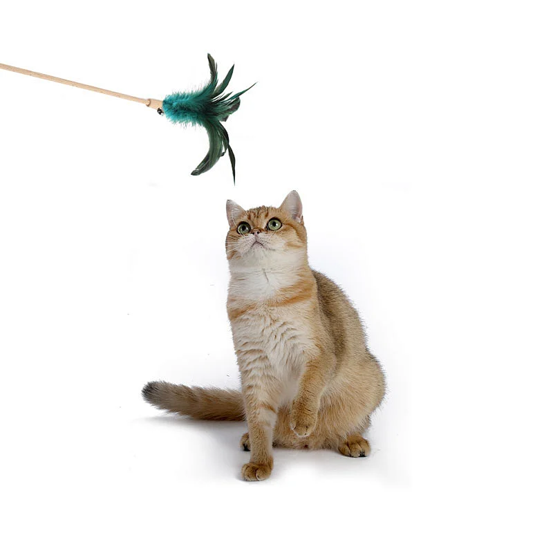 Lu catch cat wand