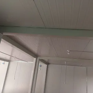 GZXINCHENG منزل حاوية الجاهزة قابلة للطي للتكبير الكبير