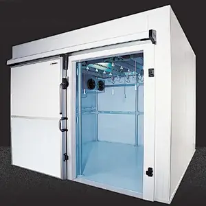 Insulated Doors Cold Room with Energy Saving for Fish Storage