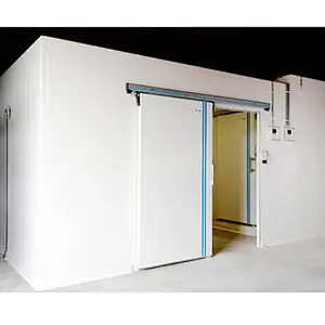 Insulated Doors Cold Room with Energy Saving for Fish Storage
