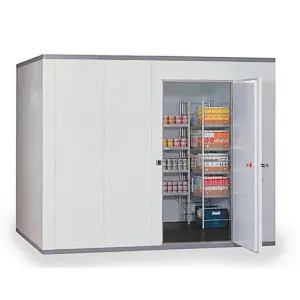 Frozen Meat Seafood Beef Chicken Shocking Walk in Freezer Cold Room