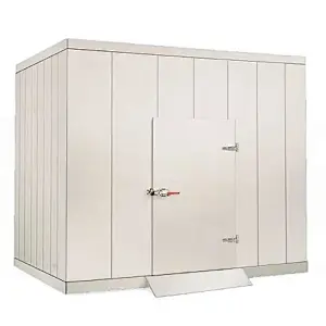 Frozen Meat Seafood Beef Chicken Shocking Walk in Freezer Cold Room