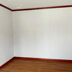 residential mobile home interior picture