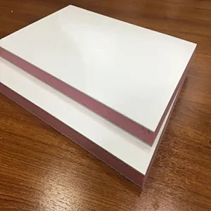 Fiberglass XPS Foam Sandwich Panel