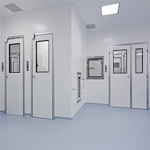 Unequal Double Color Painted Galvanized Steel Clean Room Door