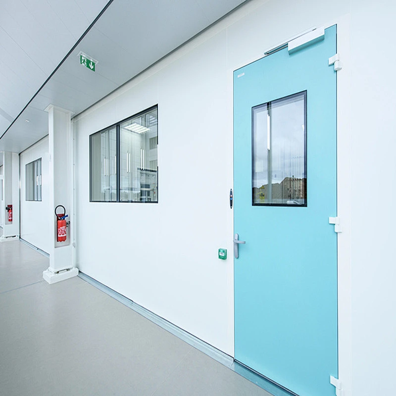 Puertas limpias de acero con paneles visuales para uso hospitalario
