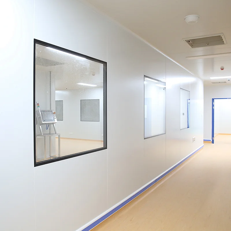 Customized Modular Window Double Glass Clean Room Windows