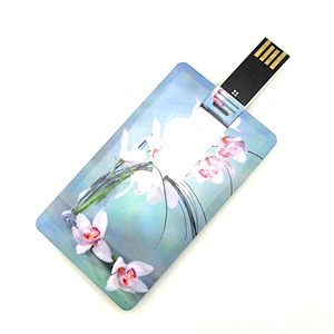 Small Card USB Flash Drive