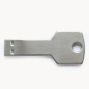 Key Shape USB Flash Drives Disk 8GB