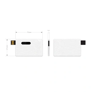 Promotional Novelty Metal Credit Card USB Flash Disk Business Card Pen Drive 8GB