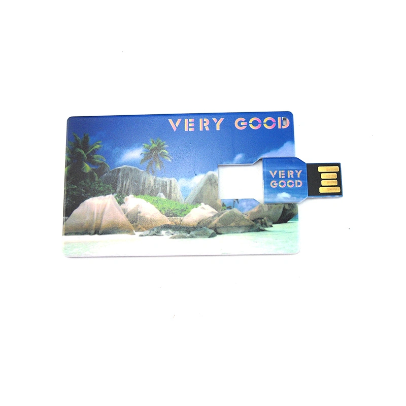 Plastic Swivel Card USB Flash Drive