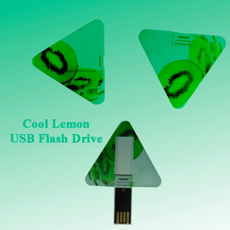 Low Price Triangle Plastic Business Card USB Flash Drive 2GB