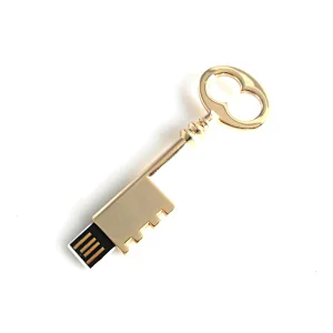 Key Shape USB Flash Drive