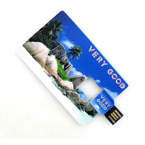 Plastic Swivel Card USB Flash Drive