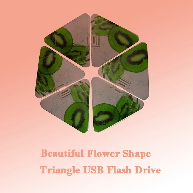 Low Price Triangle Plastic Business Card USB Flash Drive 2GB