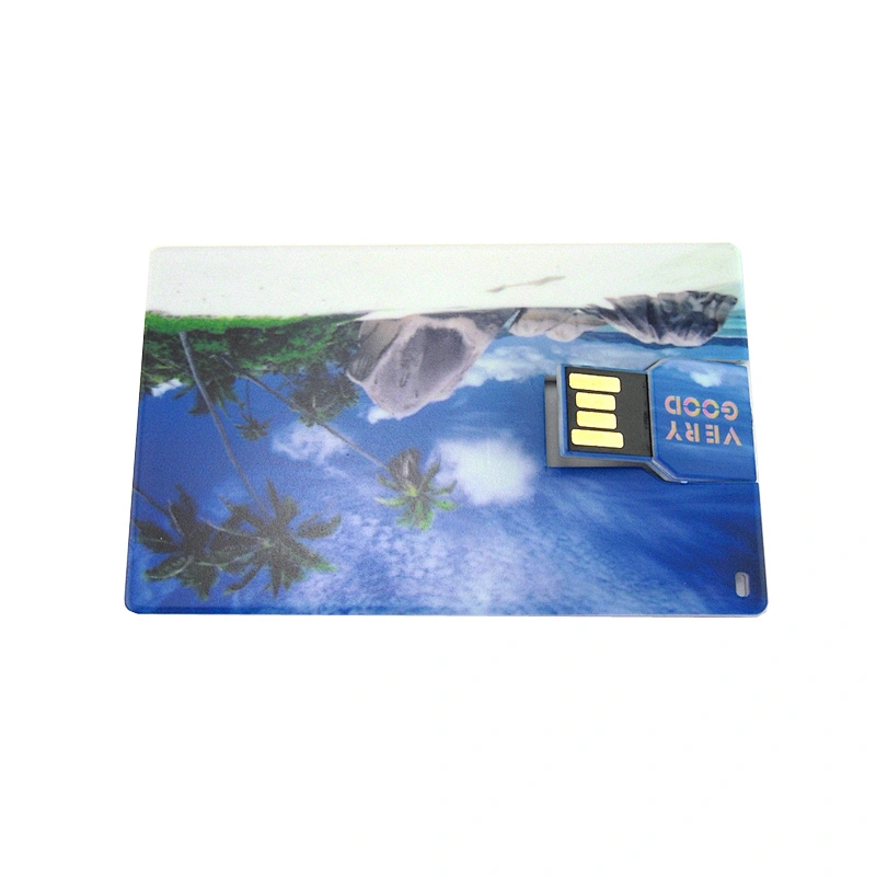 Plastic Swivel Card USB Flash Drive