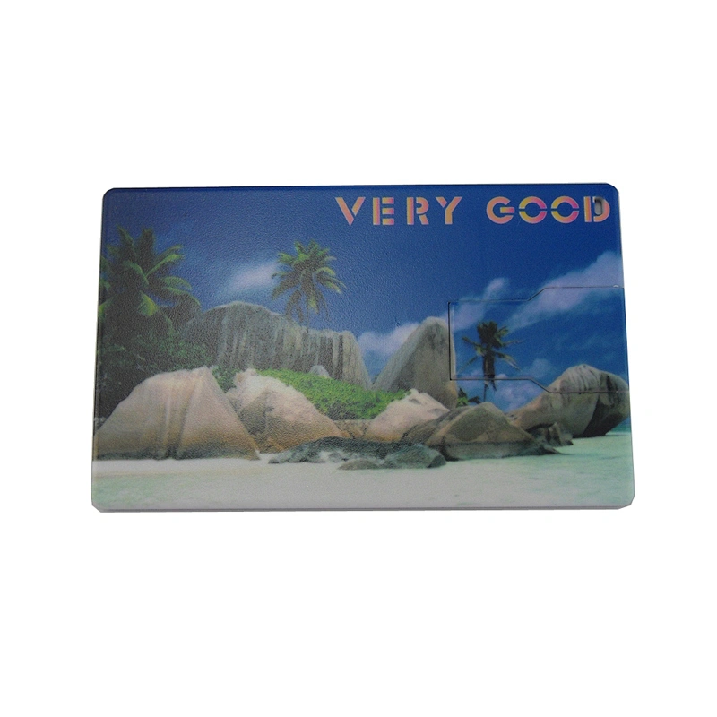 Plastic Swivel Card USB Flash Drive