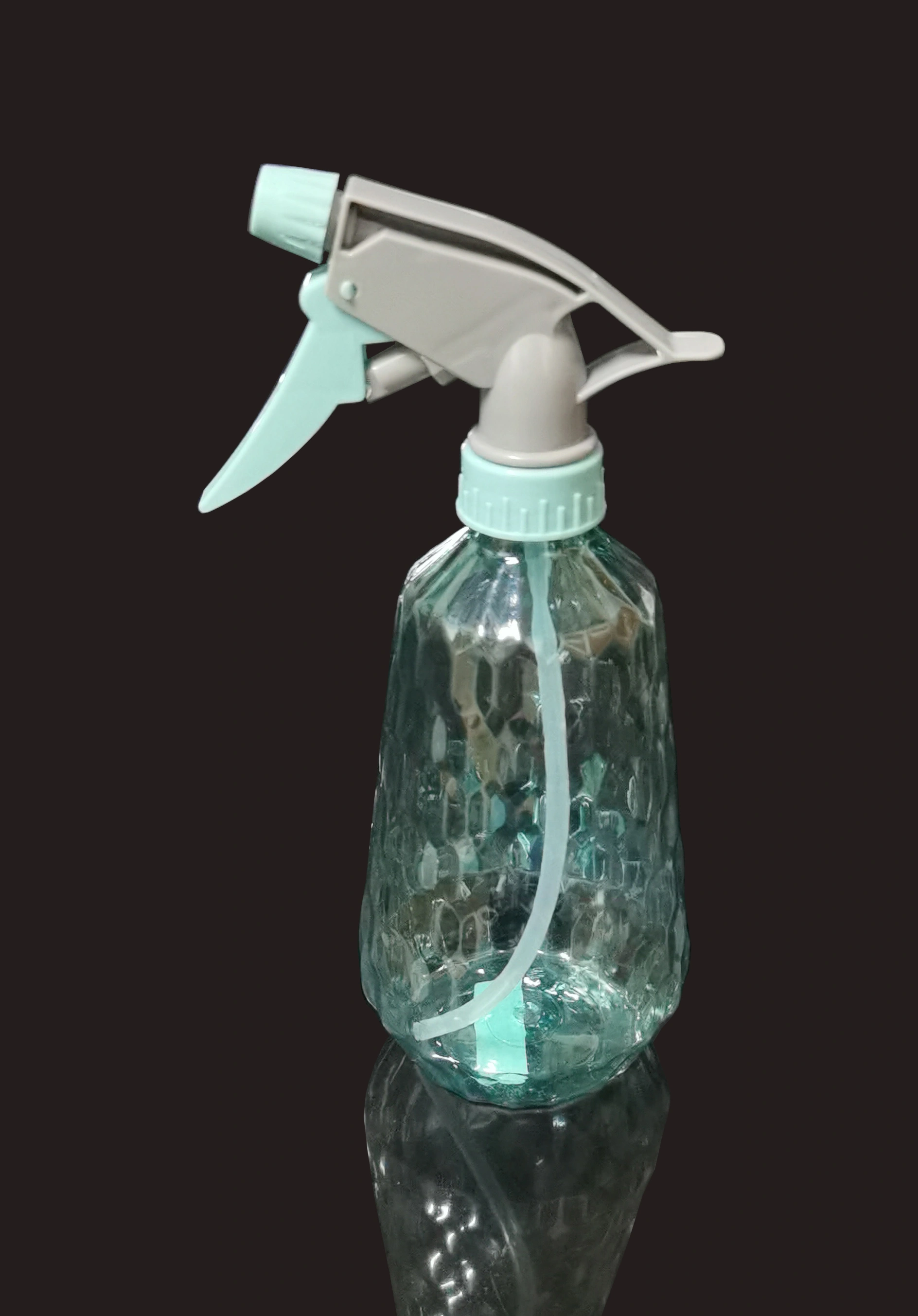Trigger sprayer bottle