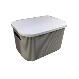 PLASTIC STORAGE CONTAINER WITH LID