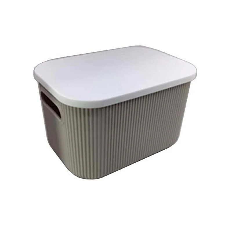 PLASTIC STORAGE CONTAINER WITH LID