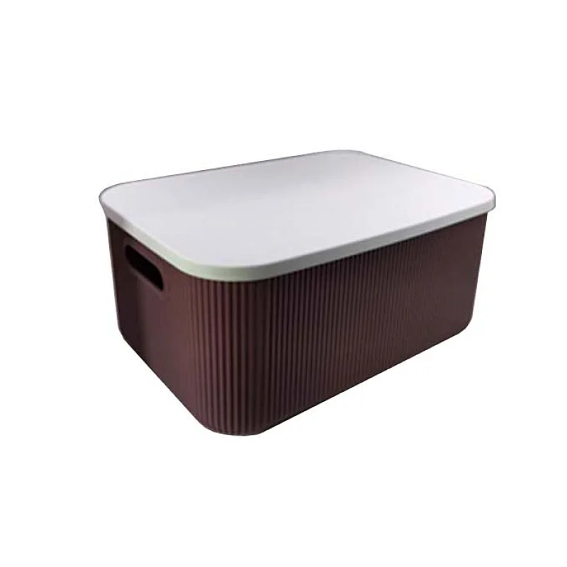 PLASTIC STORAGE CONTAINER WITH LID
