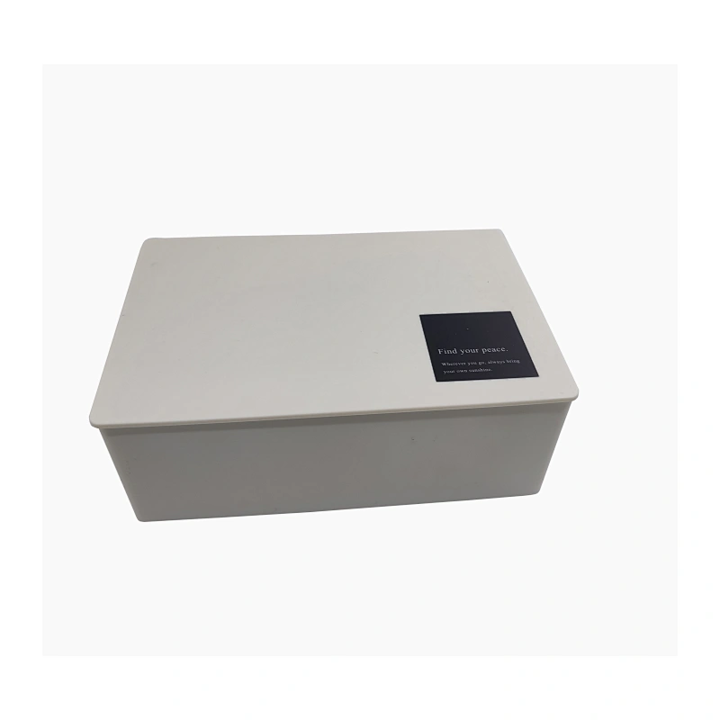 Face mask storage box
