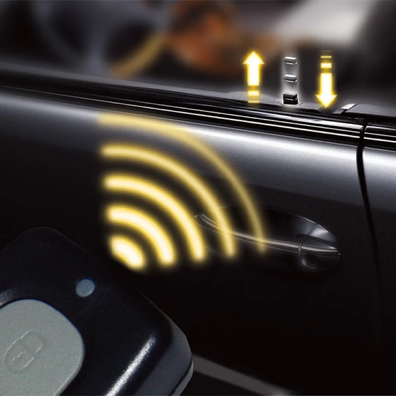 RC800-21 Remote Central Locking System