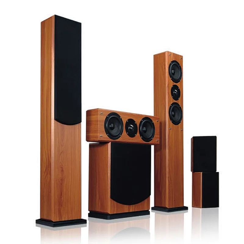 5.1ch Home theatre system floorstanding passive speaker