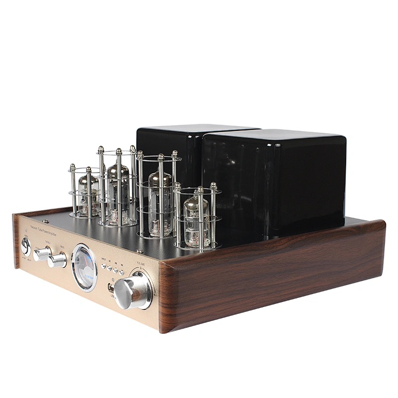 Integrated Vacuum Tube 60W powerfu Amplifier for HIFI