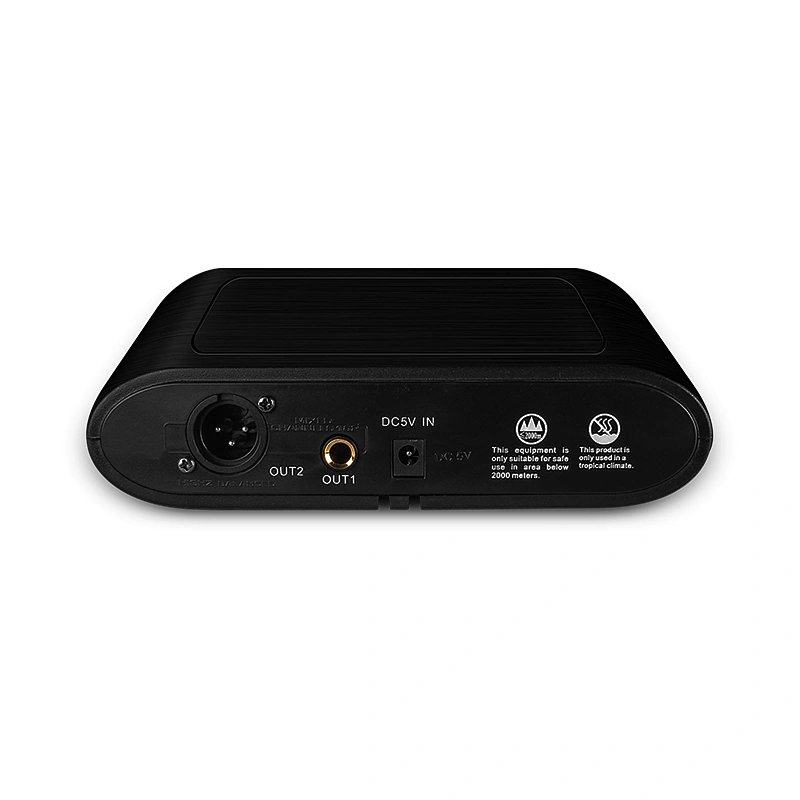 Dual Channel Professional UHF Karaoke wireless microphone