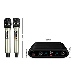 Dual Channel Professional UHF Karaoke wireless microphone