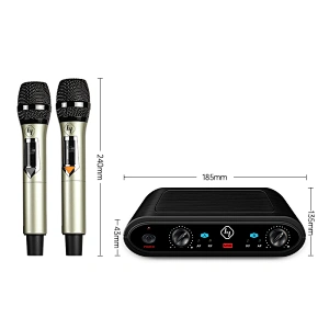 Dual Channel Professional UHF Karaoke wireless microphone
