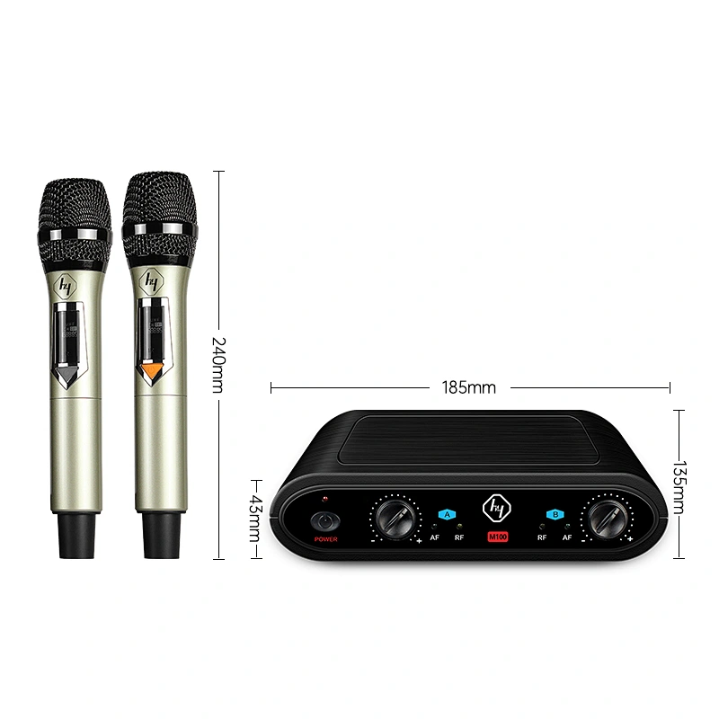 Dual Channel Professional UHF Karaoke wireless microphone