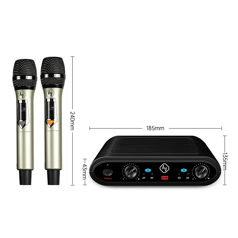Dual Channel Professional UHF Karaoke wireless microphone