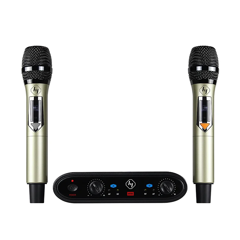 Dual Channel Professional UHF Karaoke wireless microphone