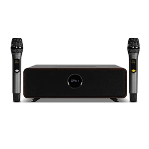 100W 2.1ch desktop Karaoke Wooden Bluetooth Speaker soundbar with built in wireless microphone