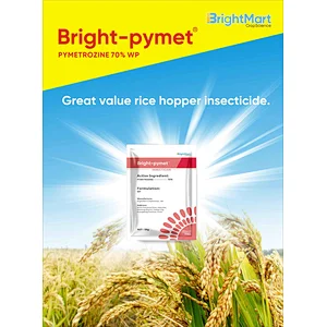 Pymetrozine Insecticide | Great value insecticide on rice hopper