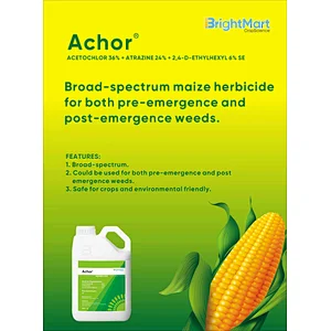 Achor ｜ Acetochlor 36% + Atrazine 24% + 2,4-D-ethylhexyl 6% SE