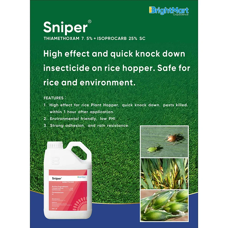 Thiamethoxam + Isoprocarb Insecticide | High effect and quick knock-down insecticide on rice hopper.