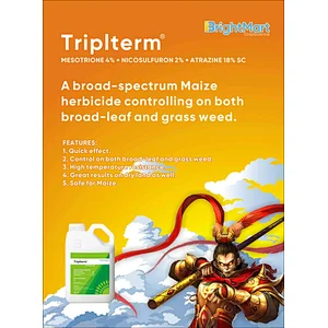 Triplterm | Mesotrione 4% + Nicosulfuron 2% + Atrazine 18% SC
