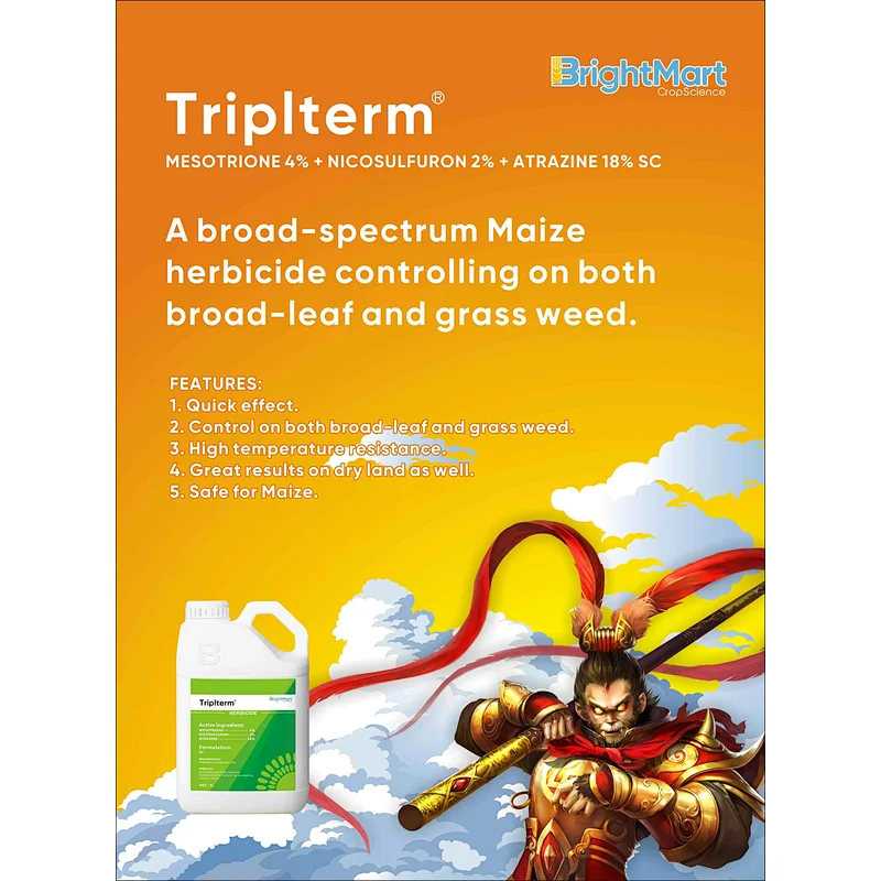 Triplterm | Mesotrione 4% + Nicosulfuron 2% + Atrazine 18% SC