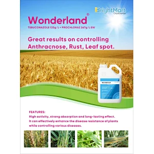 Tebuconazole + Prochloraz Fungicide | Great results on controlling Anthracnose, Rust, Leaf spot