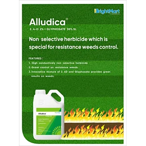 2,4-D + Glyphosate Herbicide | Non-selective herbicide which is special for resistance weeds control.