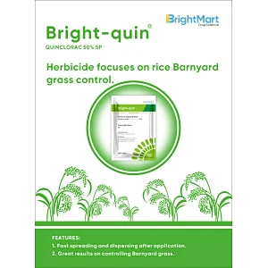 Quinclorac Herbicide | Focuses on rice Barnyard grass control