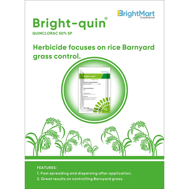 Quinclorac Herbicide | Focuses on rice Barnyard grass control